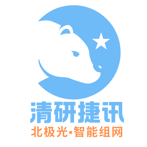 北极光 - 数字化组网解决方案专家_sdwan组网_企业组网_免费试用